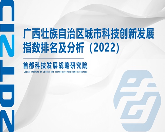 骚逼操骚逼【成果发布】广西壮族自治区城市科技创新发展指数排名及分析（2022）